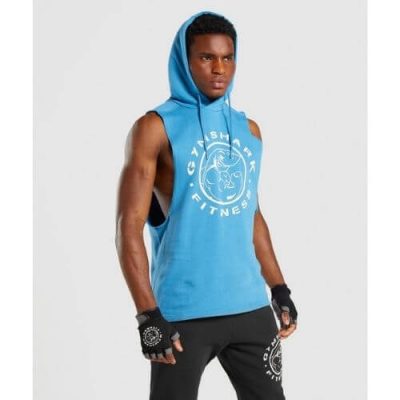 Gym Shark Legacy Drop Armhole Hoodie Blue – תמונה 1