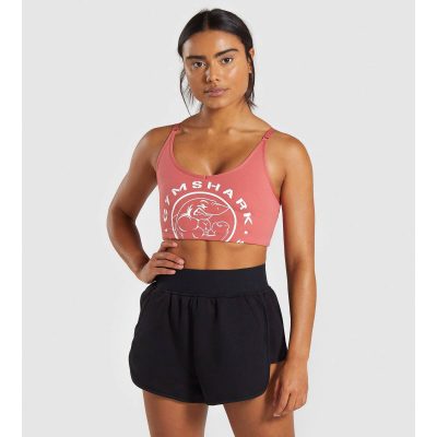 Gym Shark Legacy Fitness Sports Bra Brick Red – תמונה 1