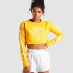 Legacy_Fitness_Sweater_Citrus_Yellow_A-Edit_ZH_600x600 (1)