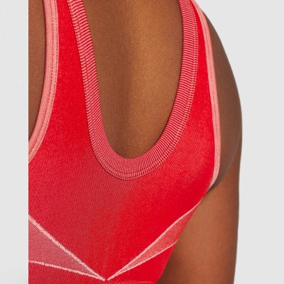 ⁦Gym Shark Turbo Seamless Sports Bra Brick Red⁩ – תמונה ⁦4⁩