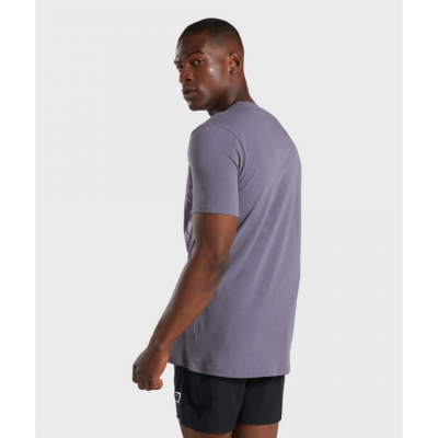 Gym Shark Legacy T-shirt Slate Grey – תמונה 2
