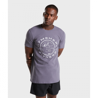 Gym Shark Legacy T-shirt Slate Grey – תמונה 1