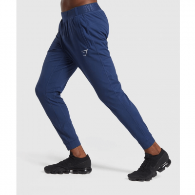 Gym Shark Training Joggers Blue – תמונה 3