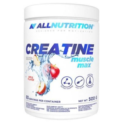 AllNutrition Creatine Muscle Max 500g – תמונה 1
