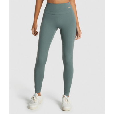 Gym Shark Whitney High Rise Leggings Eucalyptus – תמונה 1