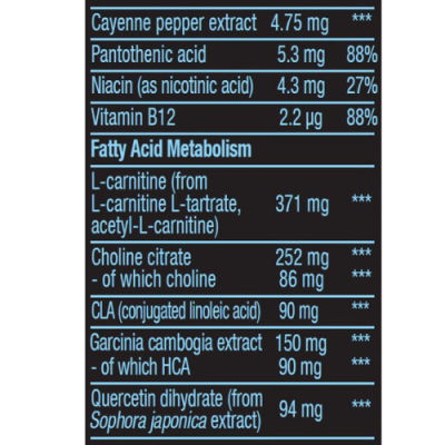 BioTechUSA Black Burn 90 mega caps – תמונה 3