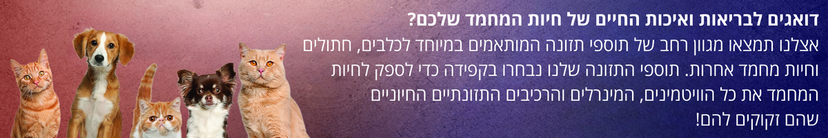 תוספים לחיות מחמד