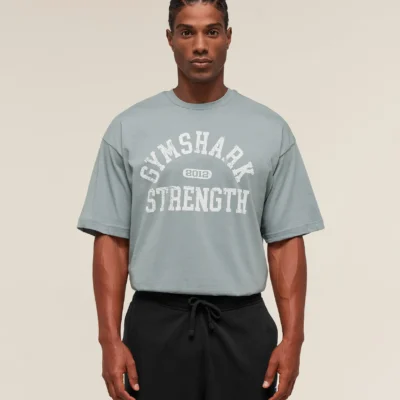 Gymshark 2012 Strength T-Shirt Denim Grey