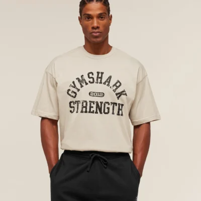 Gymshark 2012 Strength T-Shirt Pebble Grey