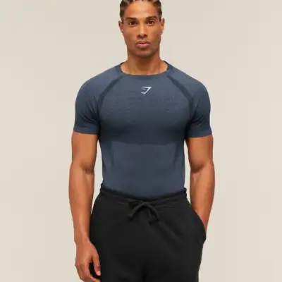 Gymshark Shadow Seamless T Shirt Heavy Blue