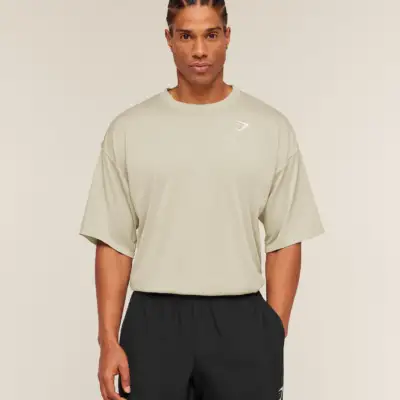 Gymshark Washed Pastels T-Shirt Pebble Grey/Wash